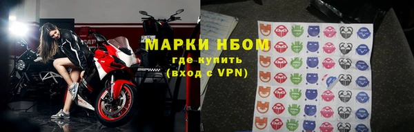 ПСИЛОЦИБИНОВЫЕ ГРИБЫ Осинники