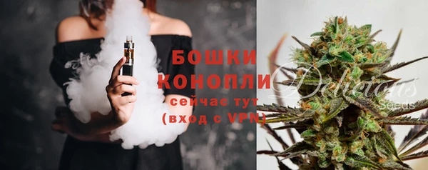 ПСИЛОЦИБИНОВЫЕ ГРИБЫ Осинники
