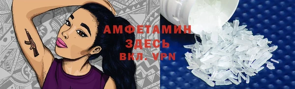 ПСИЛОЦИБИНОВЫЕ ГРИБЫ Осинники