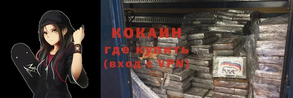 ПСИЛОЦИБИНОВЫЕ ГРИБЫ Осинники