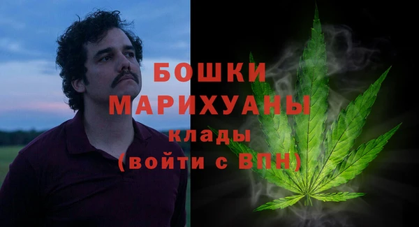 ПСИЛОЦИБИНОВЫЕ ГРИБЫ Осинники