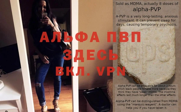 ПСИЛОЦИБИНОВЫЕ ГРИБЫ Осинники