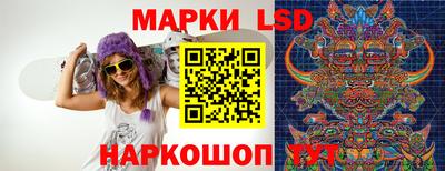 винт Будённовск