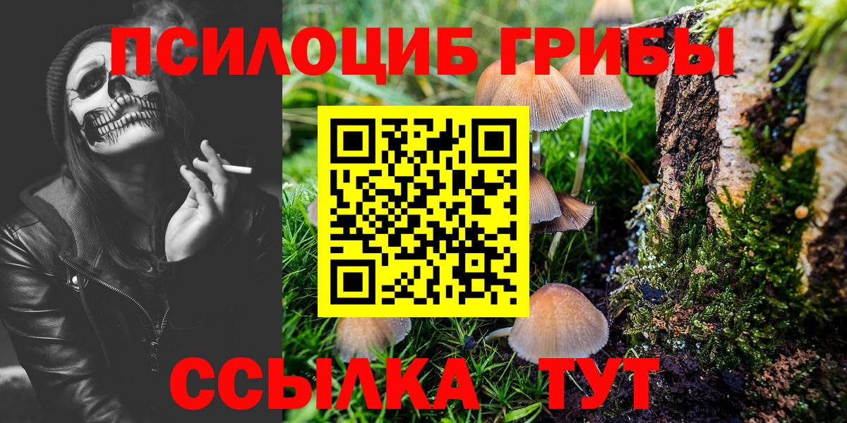 Кашира  Псилоцибиновые грибы Cubensis  Вход с VPN 