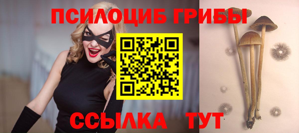 Псилоцибиновые грибы Magic Shrooms Кашира